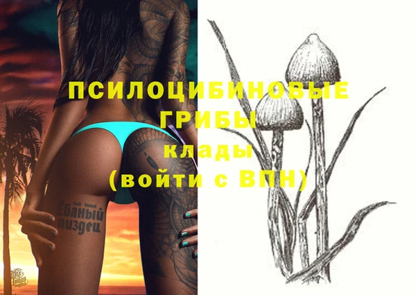 твердый Михайловка