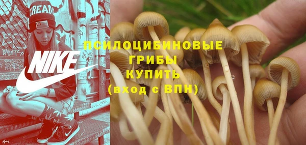 прущая мука Надым