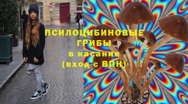 прущая мука Надым